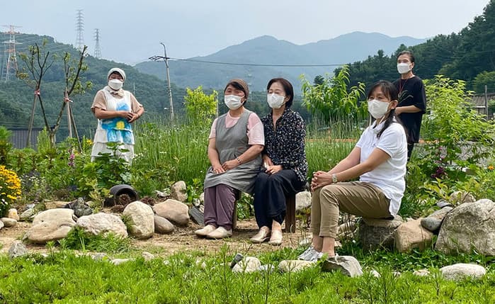 자연 치유와 전통 약초의 과학적 재발견: 현대의 활용법