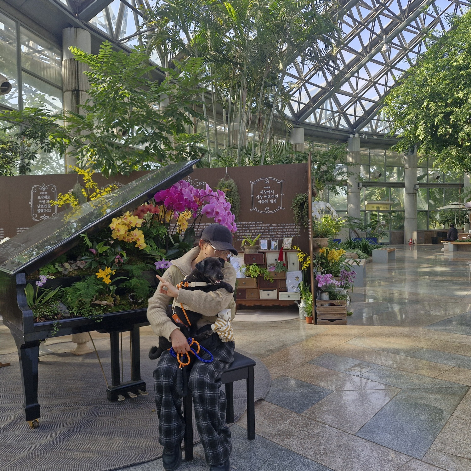 강아지 호텔,미용실,유치원다녀 온후 기침,구역질 하면 병원 가야 하나요 ? [켄넬코프 상기도 기관지염]