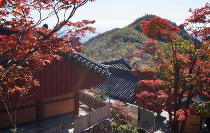 2025 지리산 단풍 절정 시기 &amp; 실시간 현황 + 인기 등산코스 총정리