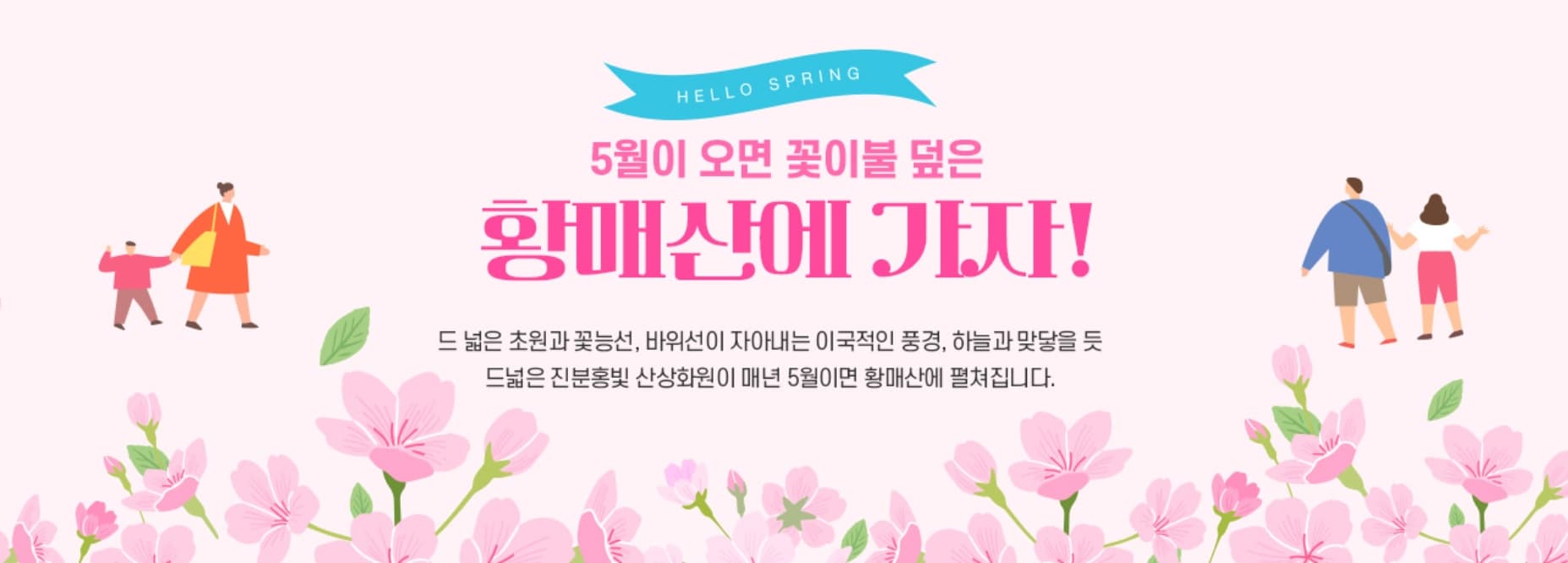 [경남 합천 여행]5월 지역 축제❘황매산 철쭉축제❘기간, 예약, 실시간 개화 현황