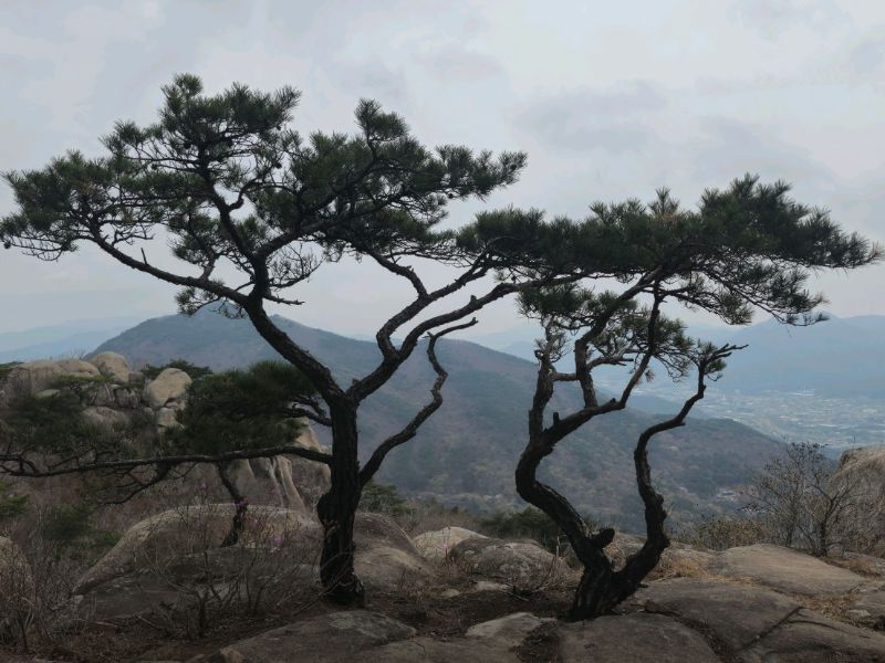 금정산