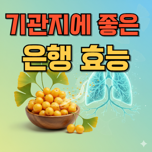 기관지에 좋은 은행 효능