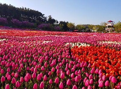 충청 여행하기 좋은 곳 추천/><figcaption></figcaption></figure><figure data-ke-type=