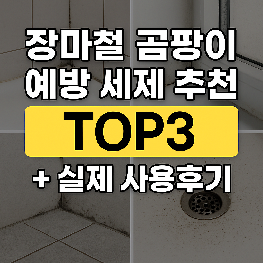 장마철 곰팡이 예방 세제 추천 TOP3 + 실제 사용기