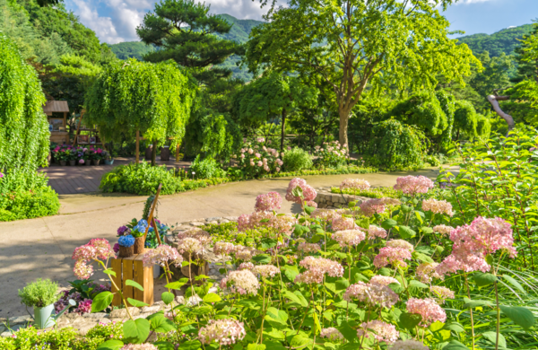 화담숲 모노레일 예약 방법 수선화 반딧불 수국 단풍 축제