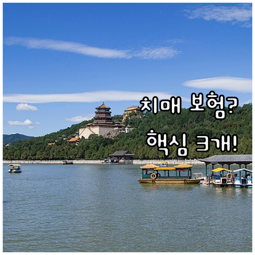 성공적인 노후 대비 치매 보험 핵심 ..