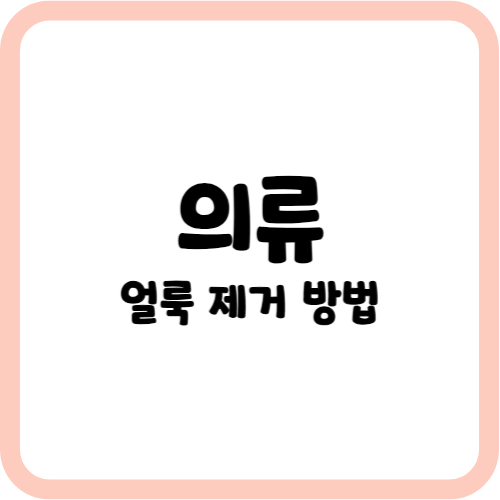 의류 생활 얼룩 제거 방법