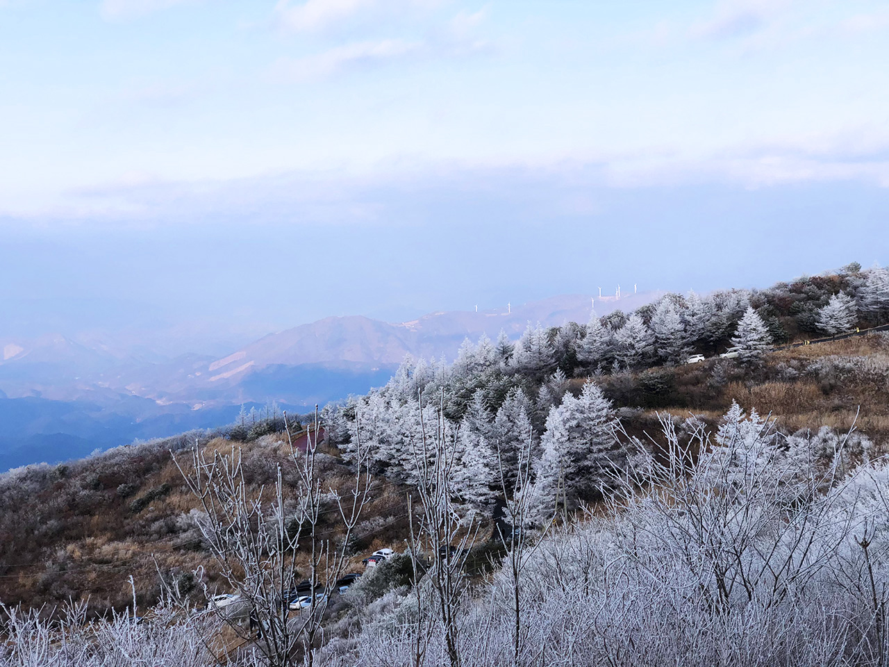 팔공산 비로봉 하산
