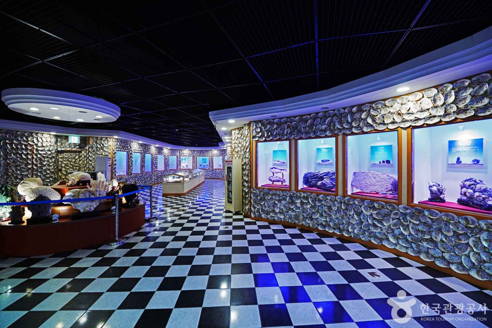 고성 화진포 해양박물관