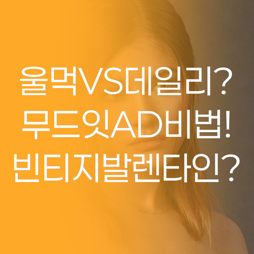 아멜리 빈티지발렌타인 울먹 메이크업부..