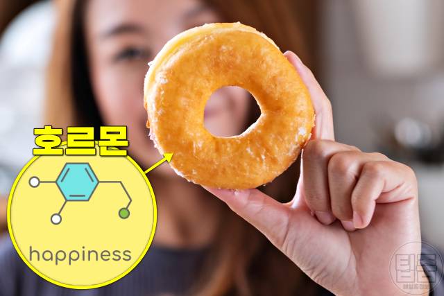 운동부족 증상 병 테스트,단것이 땡기는 이유