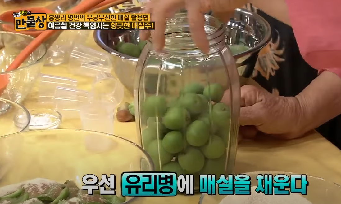 매실주 담그는법 매실주담글때 비율
