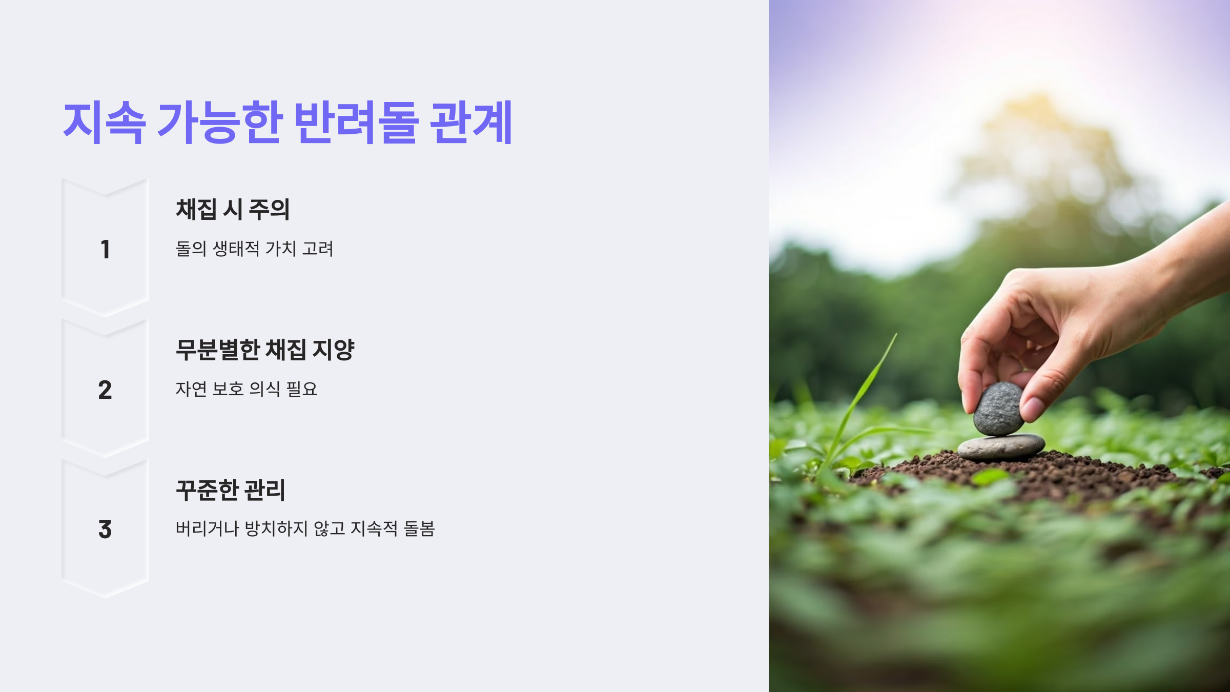 반려돌과 지속 가능한 관계