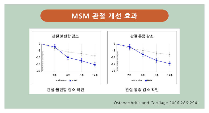 MSM 관절 개선 효과