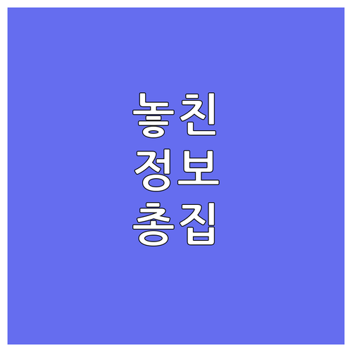 현대카드 프리미엄 혜택: 호텔 할인과..