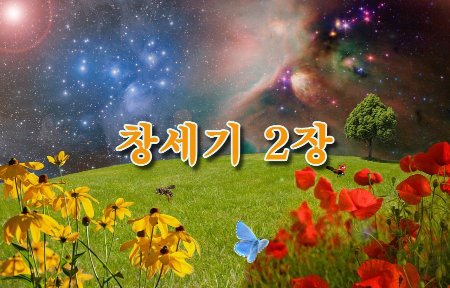 창세기 2장 강해