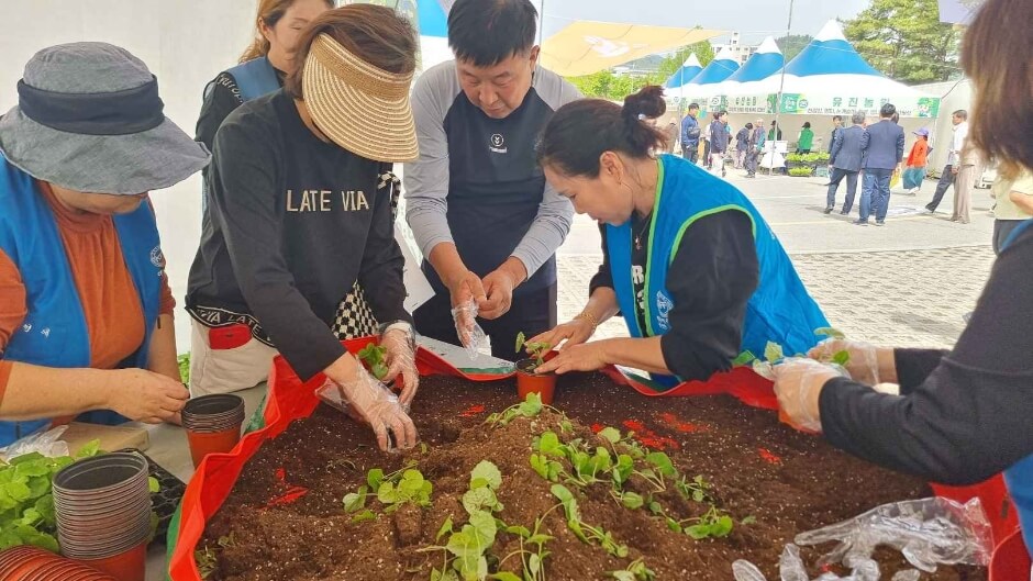 홍천 산나물축제 2026