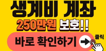 생계비 보호 계좌