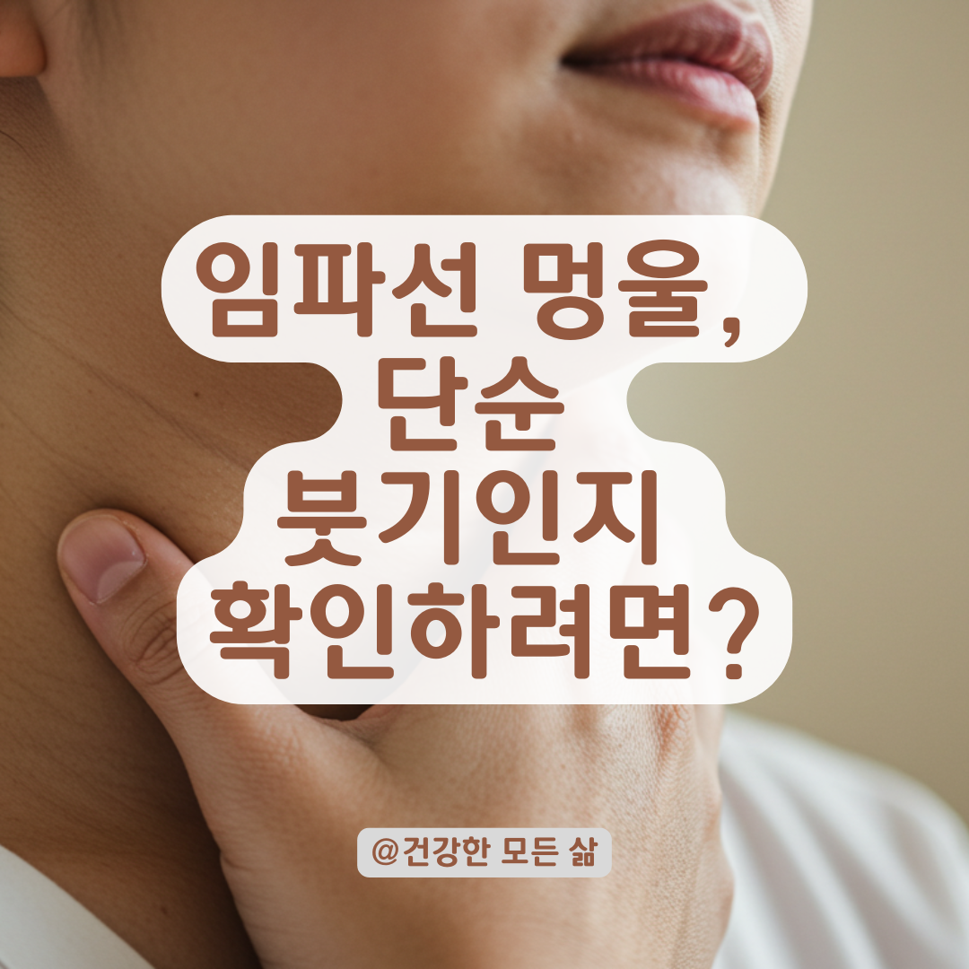 임파선 멍울이 자꾸 생긴다면, 단순 붓기일지 정확히 확인해보세요