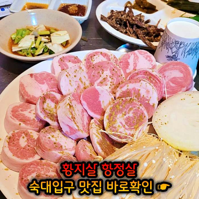 숙대입구 남영동 맛집 황지살, 오도독갈비, 항정살