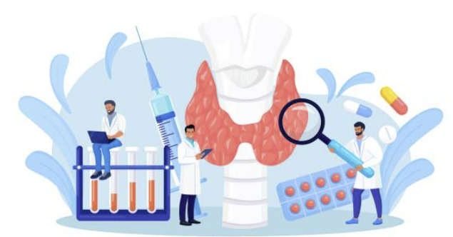 갑상선 기능저하증 증상 좋은 음식 수치 등 알아보기 (24년 Ver)
