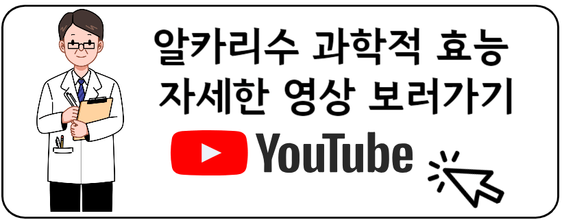 알카리수 유투브