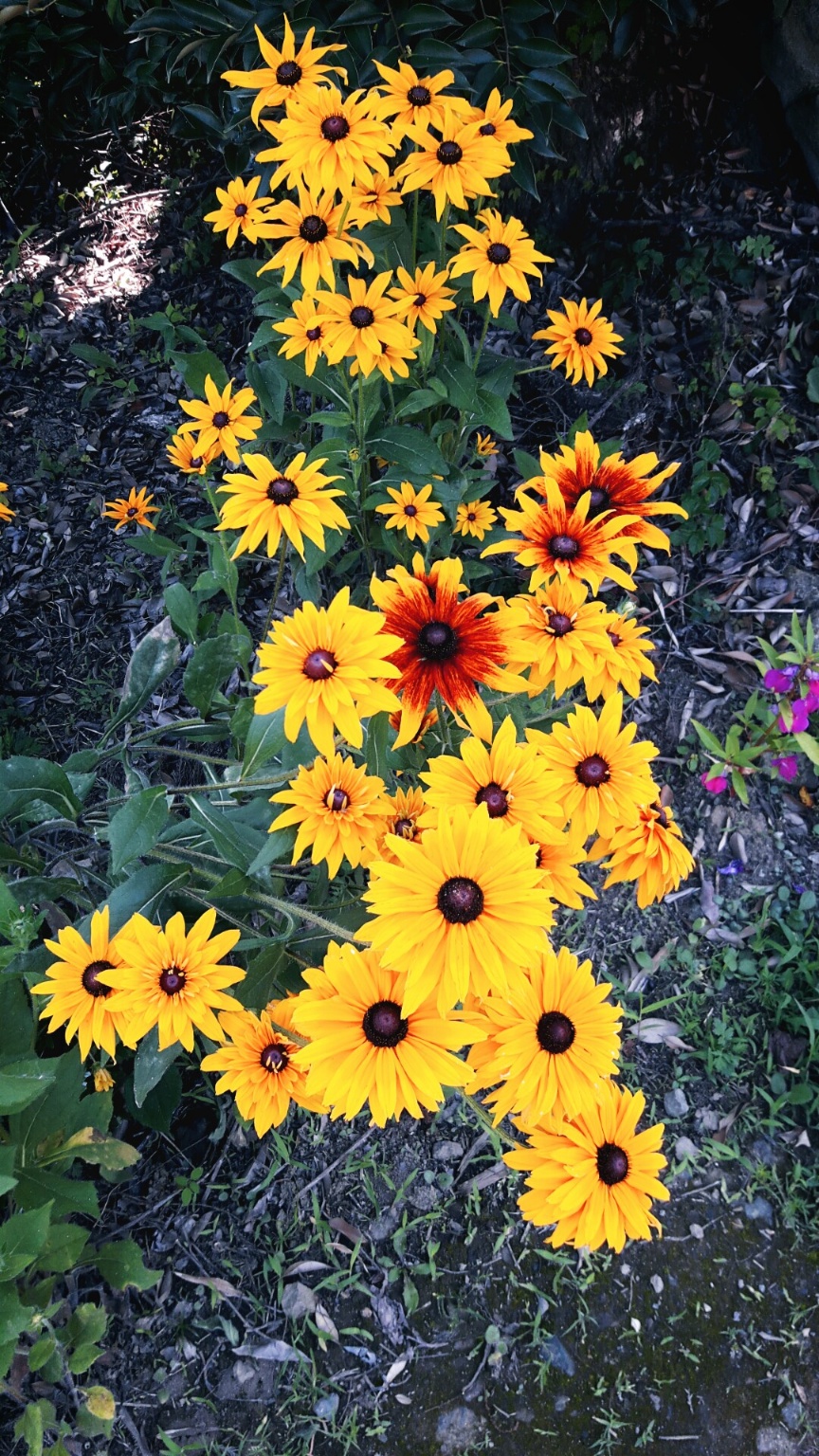 민생회복 소비쿠폰 2차 꼭 신청하세요:대상&middot;금액&middot;기간&middot;사용처 총정리 (2025)