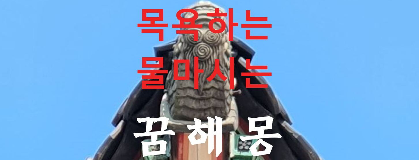 꿈해몽