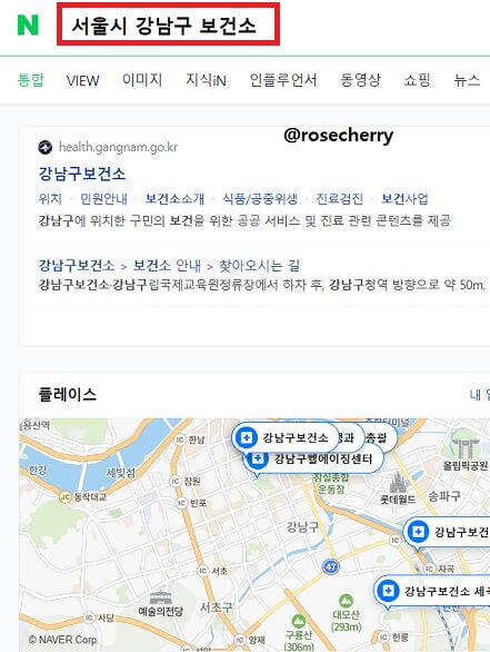 서울시-강남구-보건소-검색하기