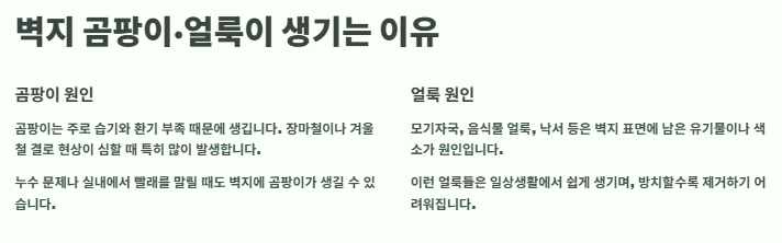 벽지 곰팡이 제거, 얼룩(모기자국,음식,낙서 등) 제거방법: 벽지 청소법