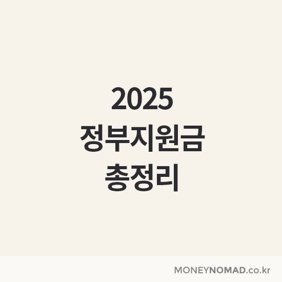 2025 정부지원금 총정리
