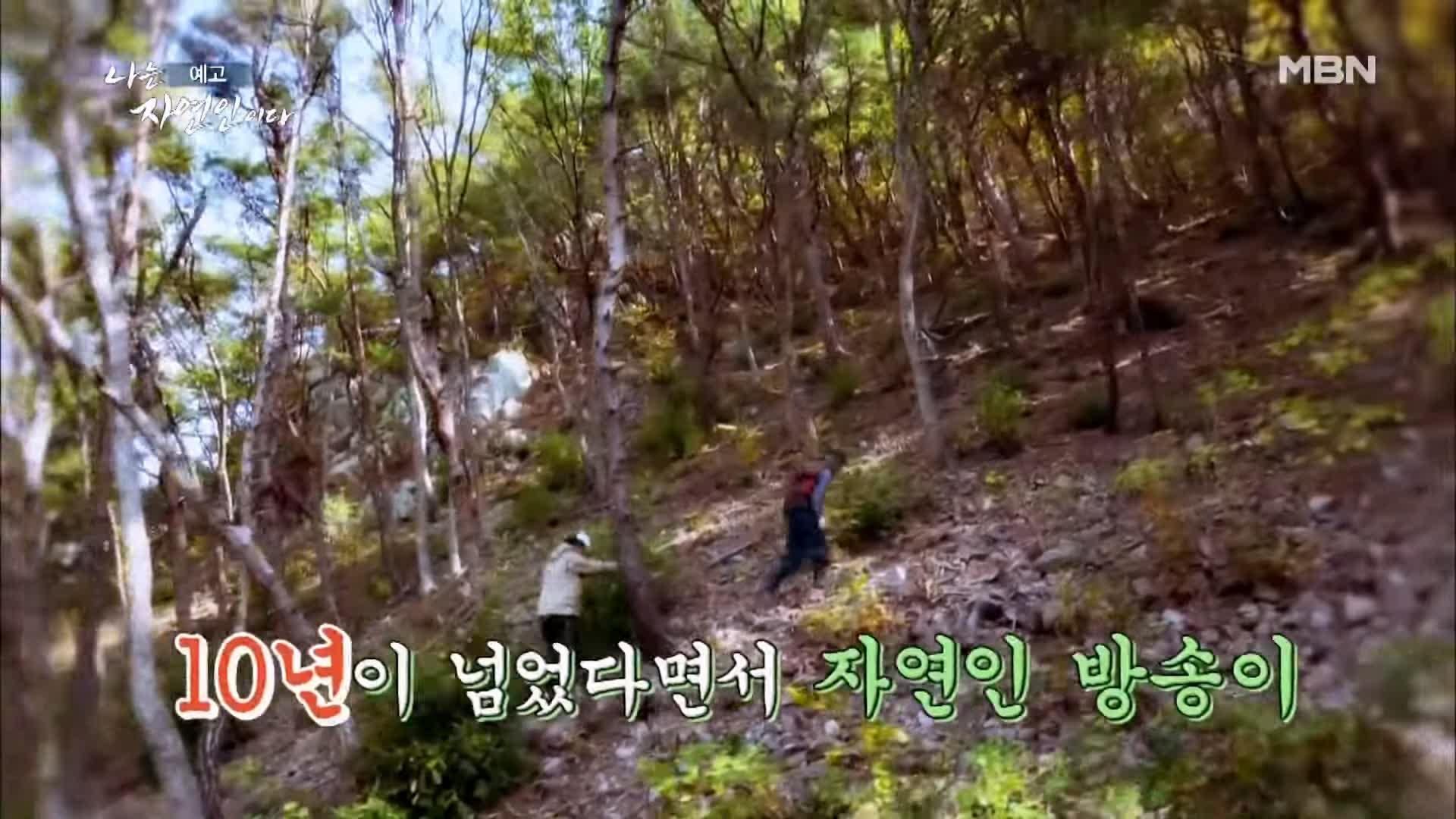 이승윤 윤택 나는 자연인이다 내가 산에 사는 재미 하수오 제피 담금주 골쇄보 자연인 배정수 소개 및 출연 529회 다시보기