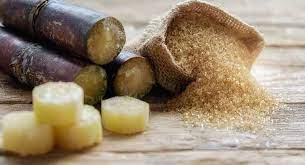 폴리코사놀 효능 부작용 (3주 섭취 후기)