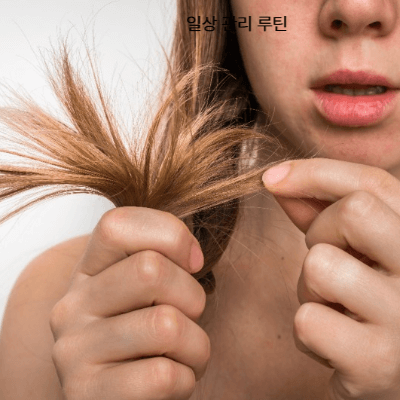 갱년기 두피·탈모 원인과 관리법 (2025)|샴푸·영양제·전문 치료까지