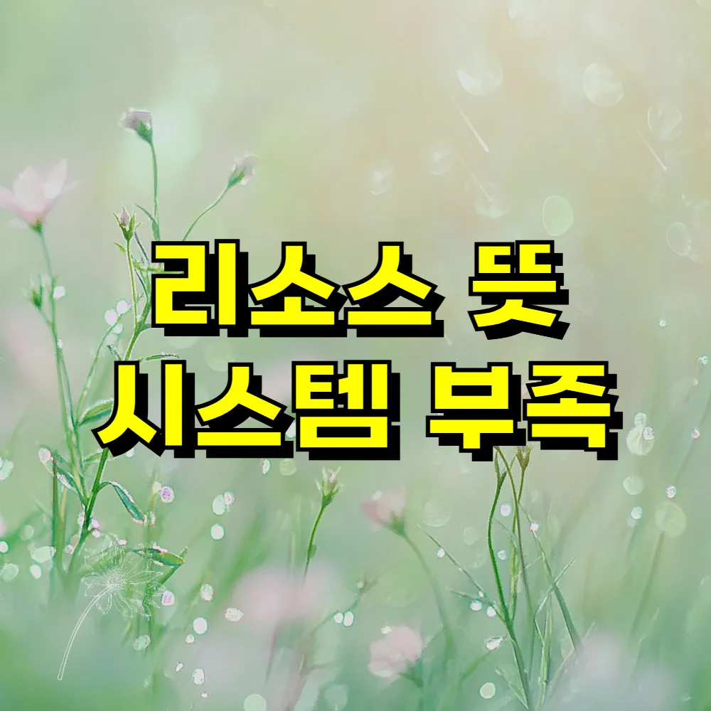 리소스 뜻 시스템 부족