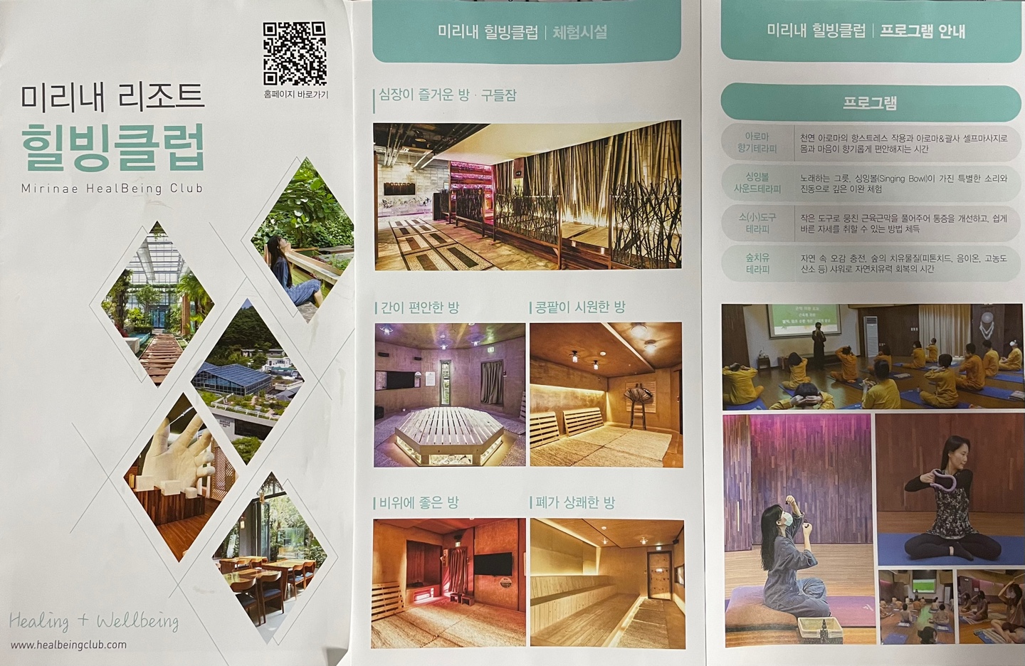 힐빙클럽의 주요 프로그램