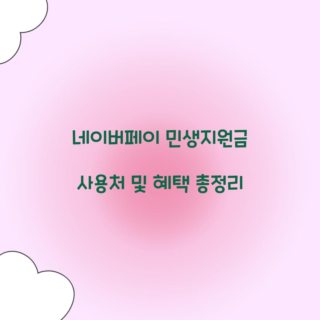 네이버페이 민생지원금