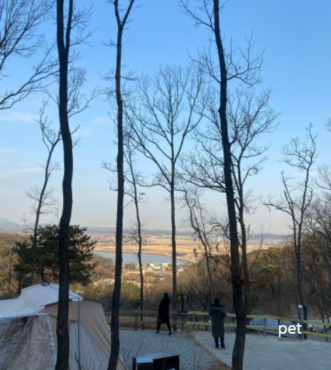 경기-인천-아르보리아-사르데냐-캠핑장-예약-방법-애견-동반-가격-주소-시간-후기