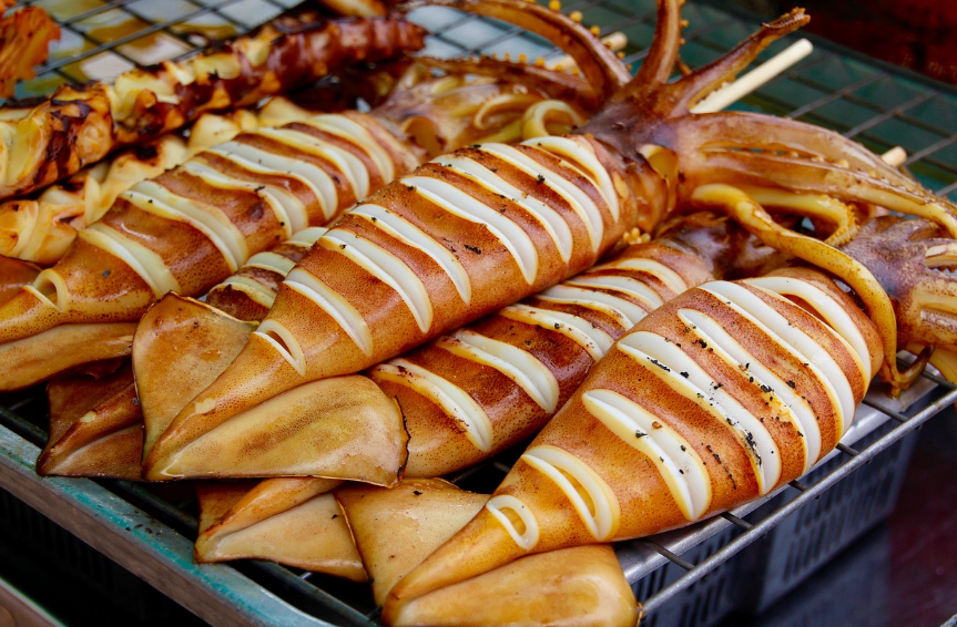 오징어 관련 사진