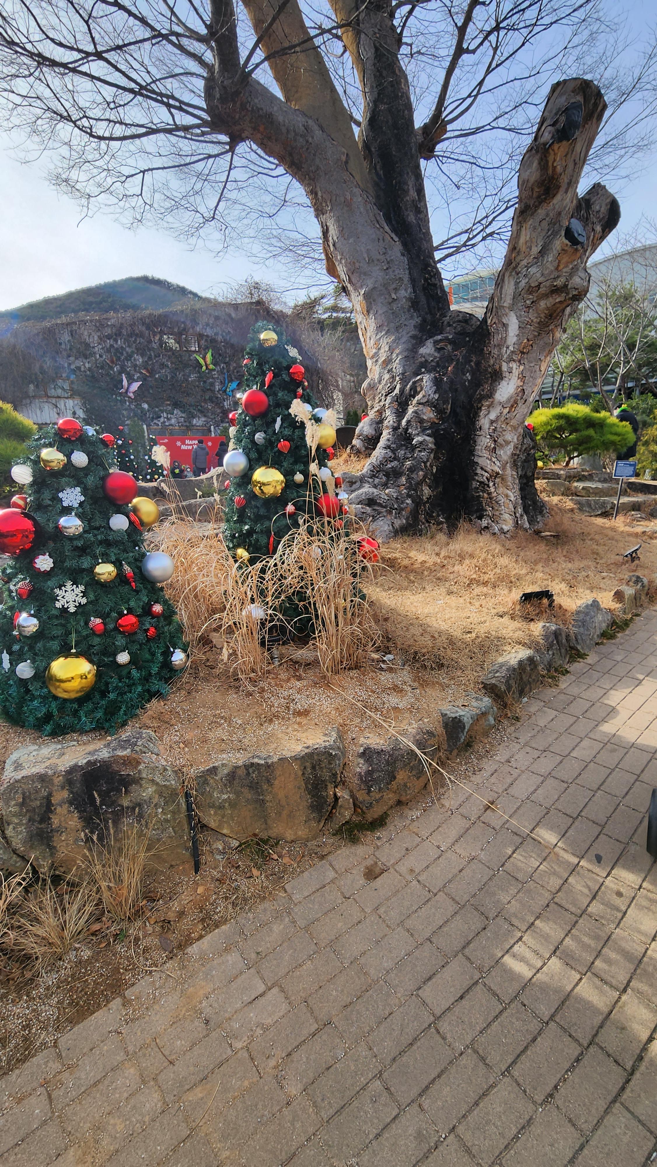 대구-네이처파크