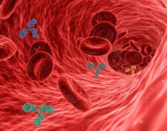"심근경색&middot;중풍&middot;치매, 예방 가능할까?"