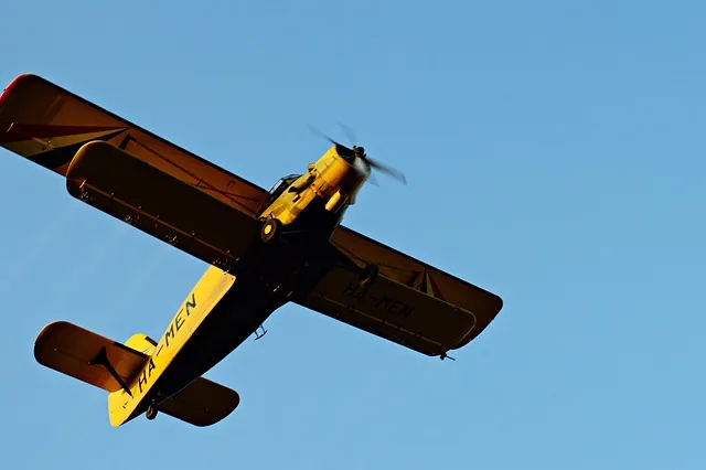 병해충 천적 활용 무당벌레 기생벌 끈끈이트랩 친환경 방제_4