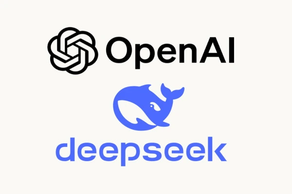 딥시크 뜻 앱 다운로드 DeepSeek 어플 사용법