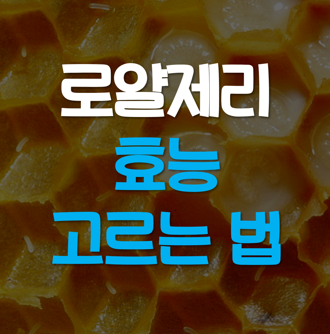 로얄제리-효능