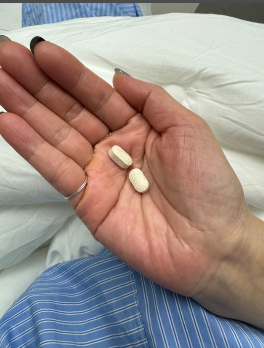 진앤 진심원 가격