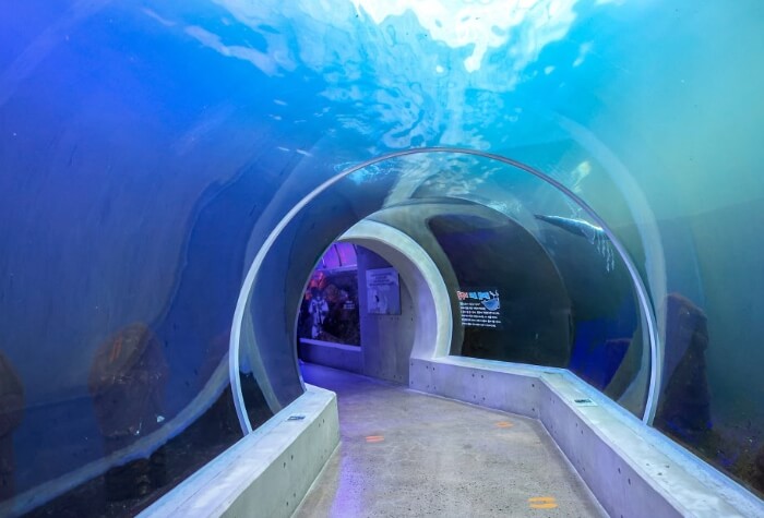 아라마루-아쿠아리움