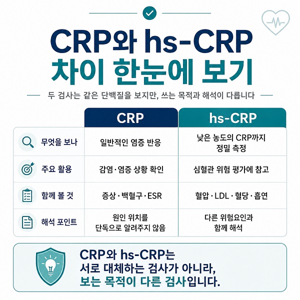 일반 CRP와 hs-CRP의 측정 범위와 주요 활용 목적을 비교한 인포그래픽