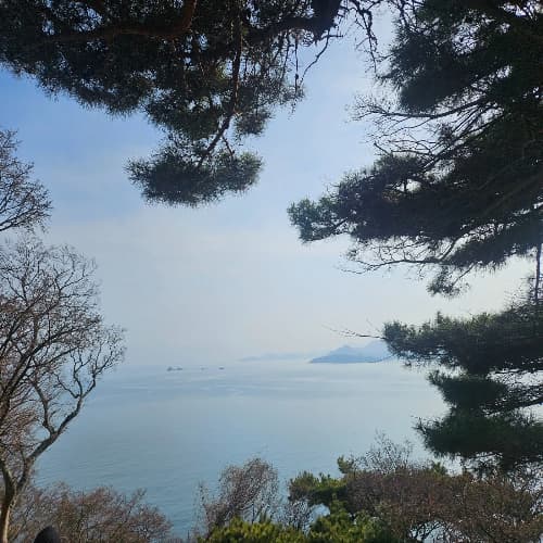 거제 저도 &amp;#39;대통령의 휴양지&amp;#39; 탐방: 2026 재개방 관람 후기