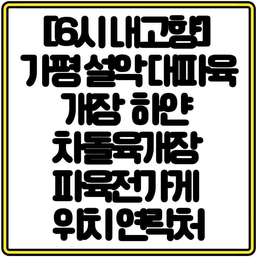[6시 내고향] 가평 설악 대파육개장 맛집 하얀 차돌육개장부터 파육전가게 위치 연락처정리