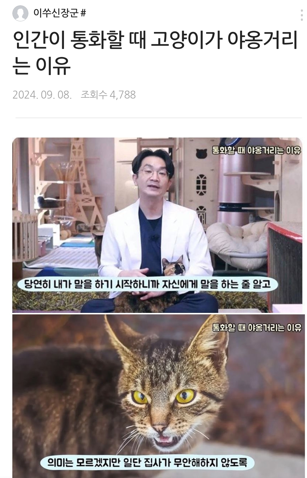 고양이가 야옹 거리는 이유